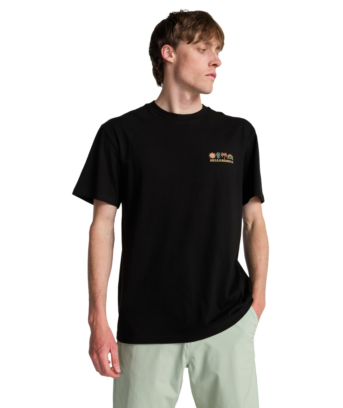 Billabong | Segmento Camiseta Manga Corta para Caballero