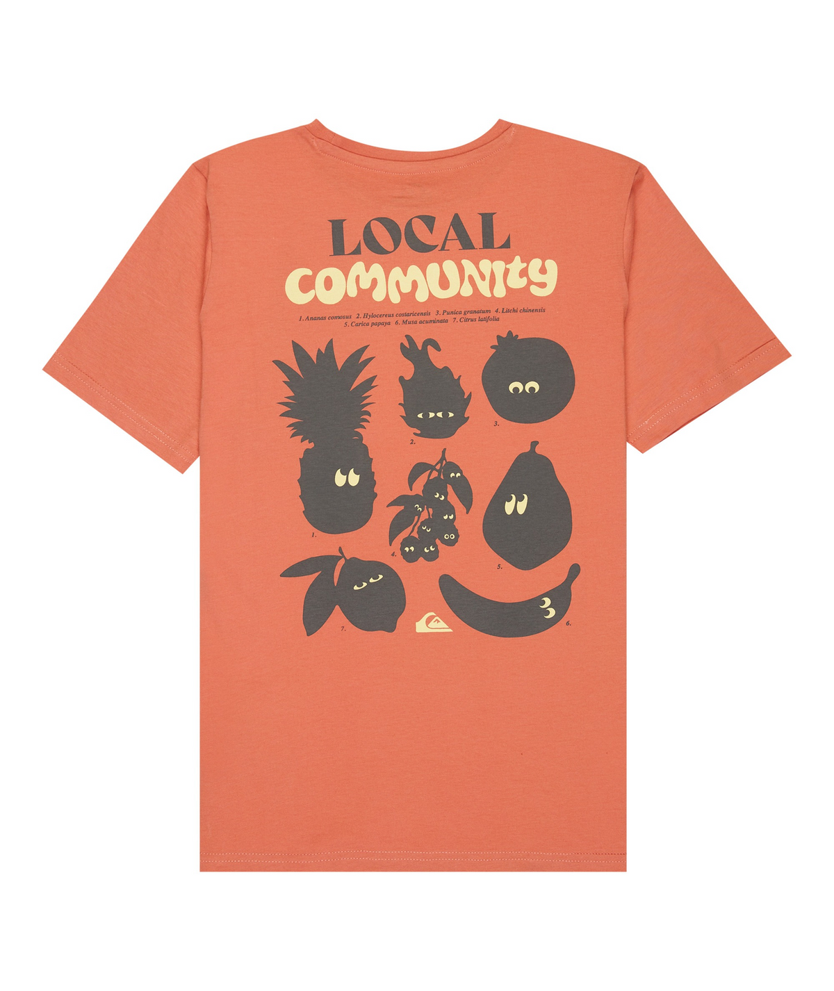 QuikSilver | Fruits Tide Camiseta de Manga Corta para Niño