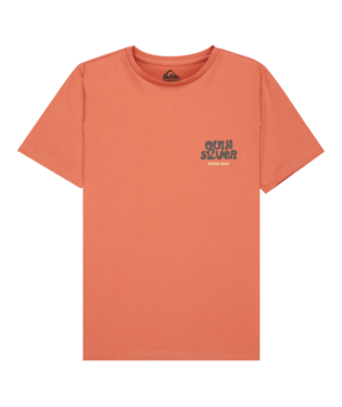 QuikSilver | Fruits Tide Camiseta de Manga Corta para Niño