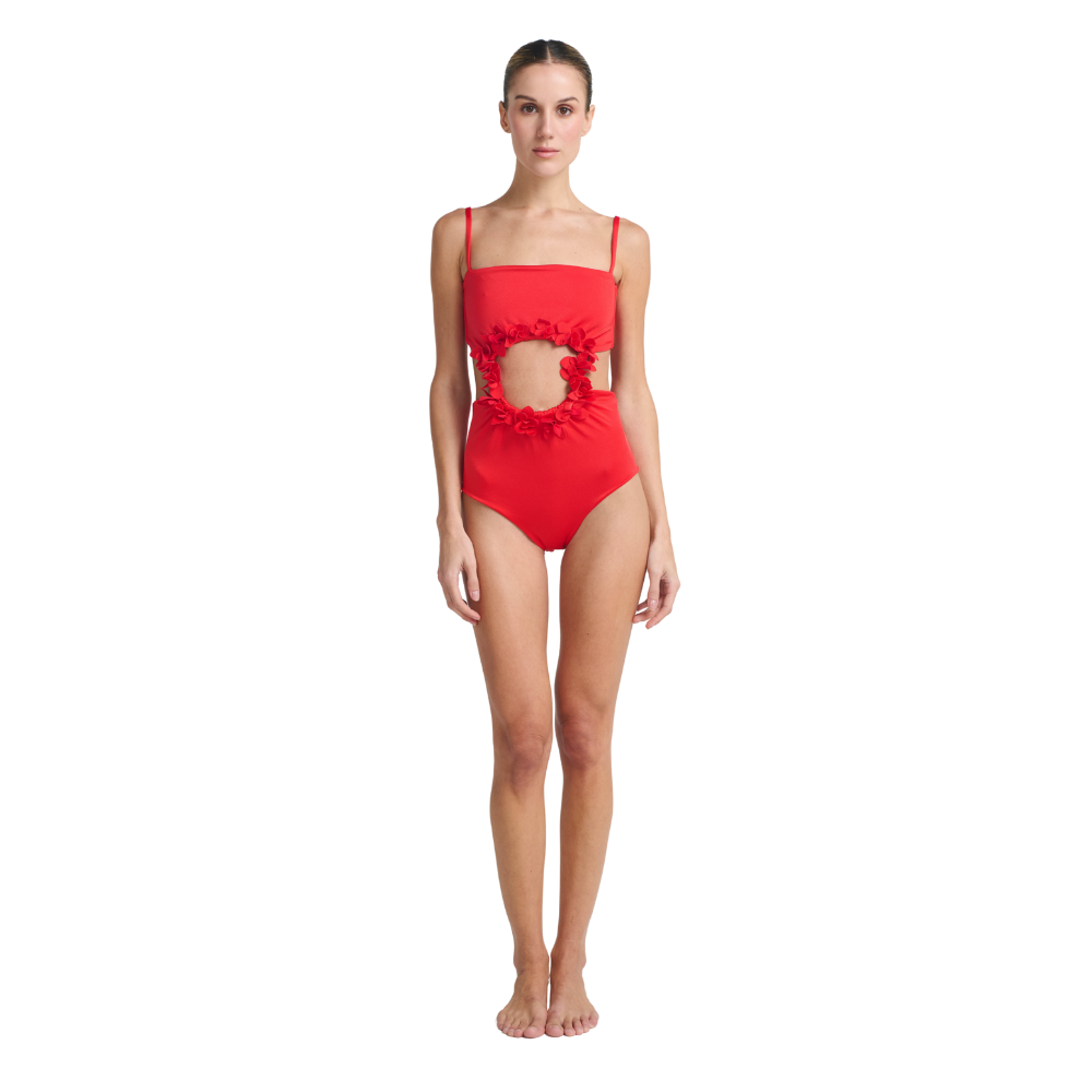 Ancora | One Piece Caliza