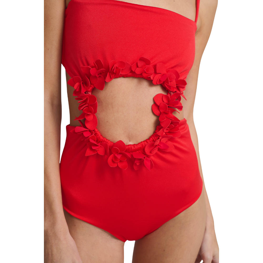 Ancora | One Piece Caliza