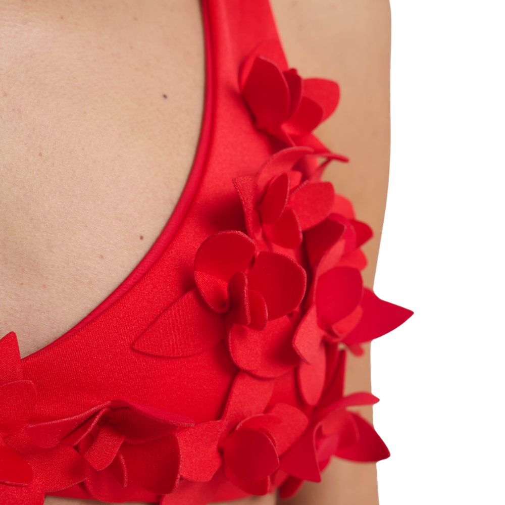 Ancora | Bottom BSC Auléa Red