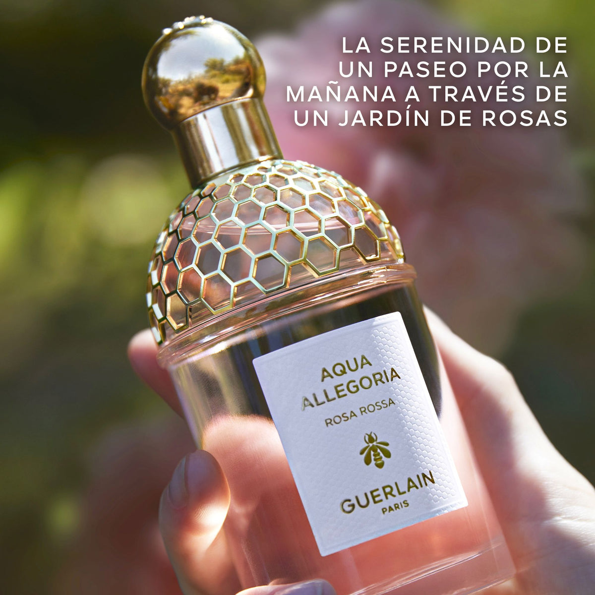 Guerlain | Aqua Allegoria Rossa Rossa Eau De Toilette