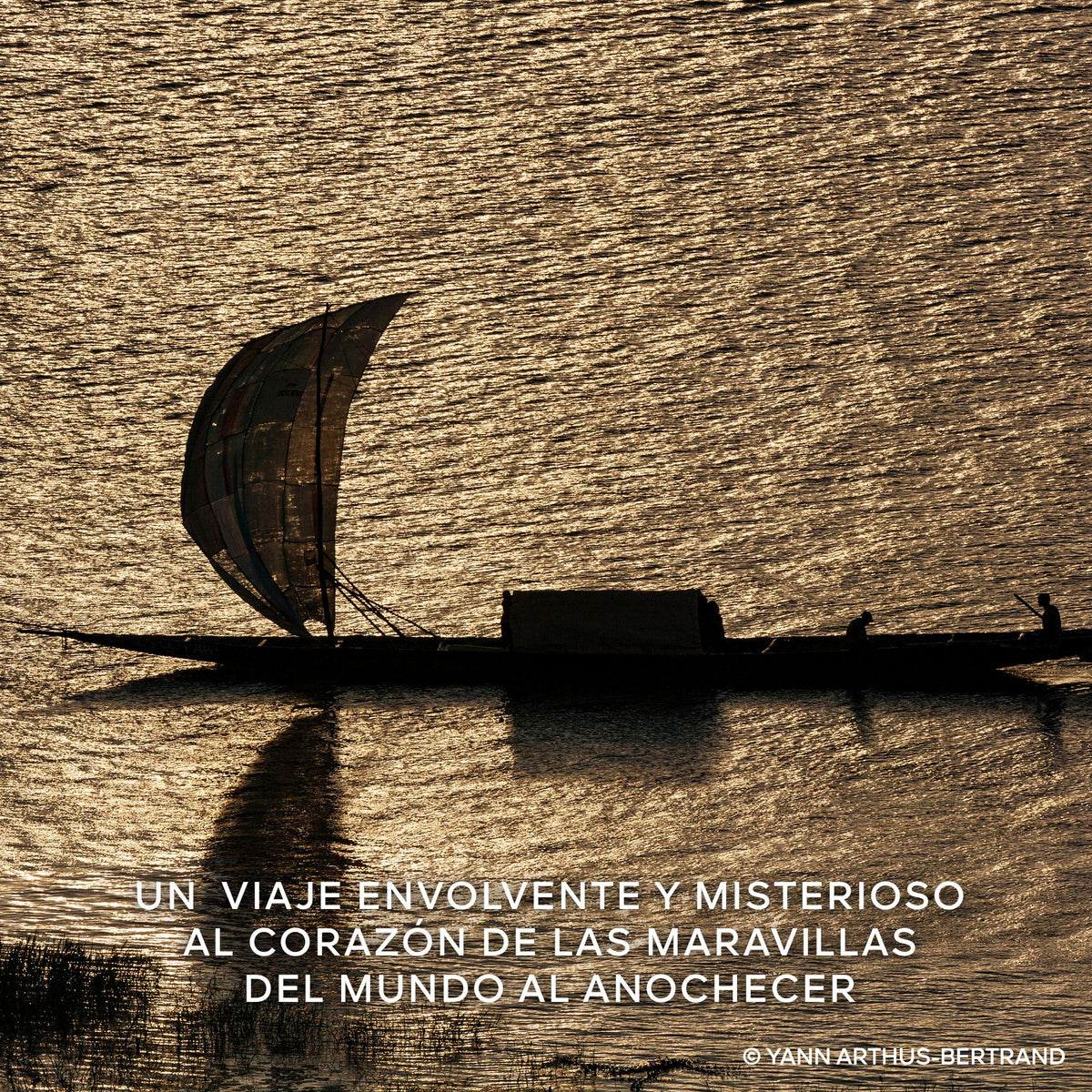 Guerlain | Absolus Allegoria Rose Amira Eau de Parfum