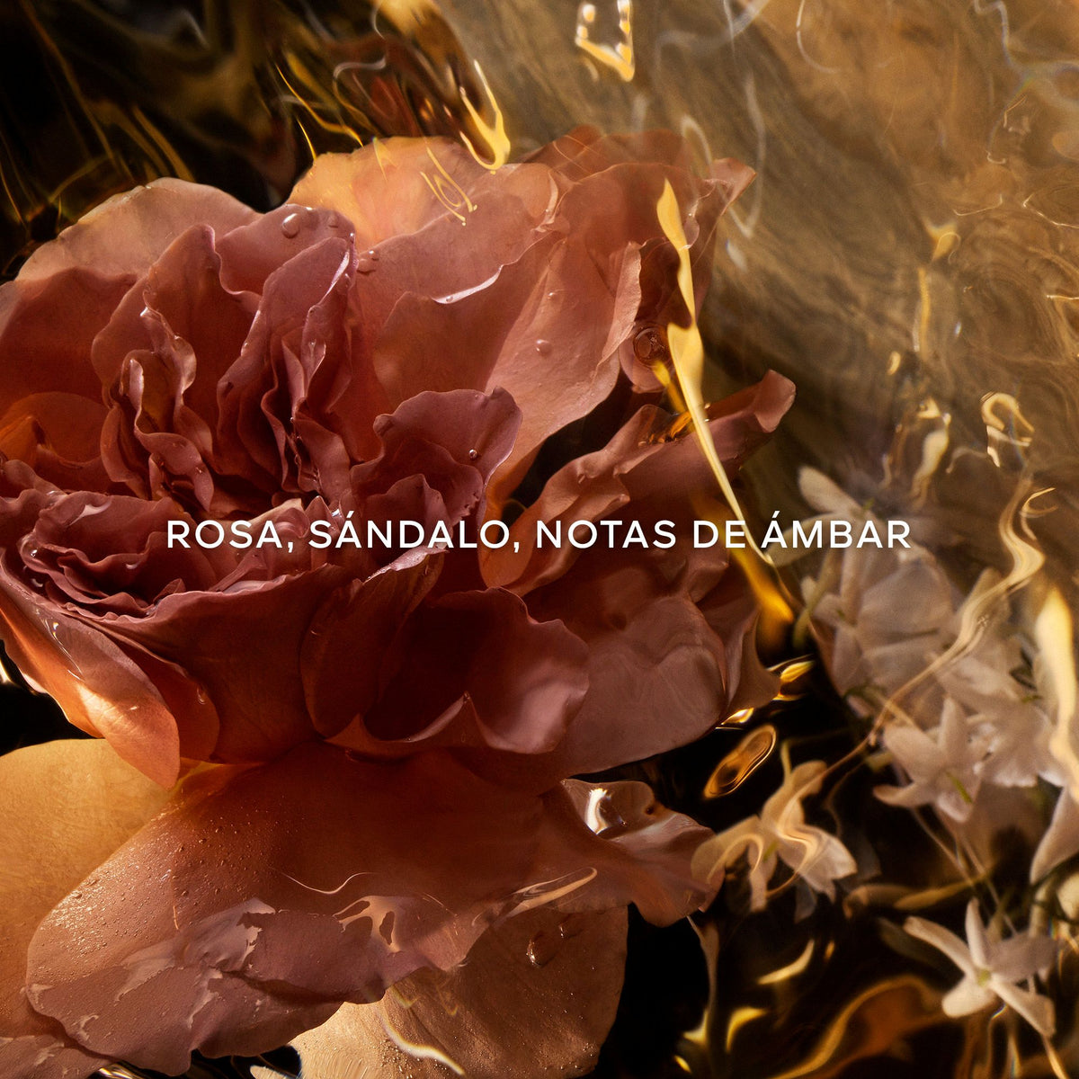 Guerlain | Absolus Allegoria Santal Royal Eau de Parfum