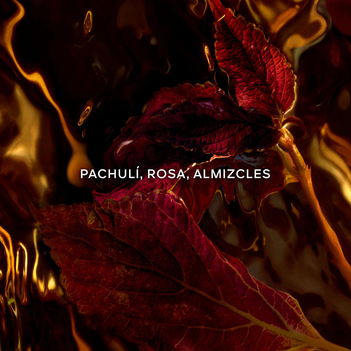 Guerlain | Absolus Allegoria Patchouli Ardent Eau de Parfum