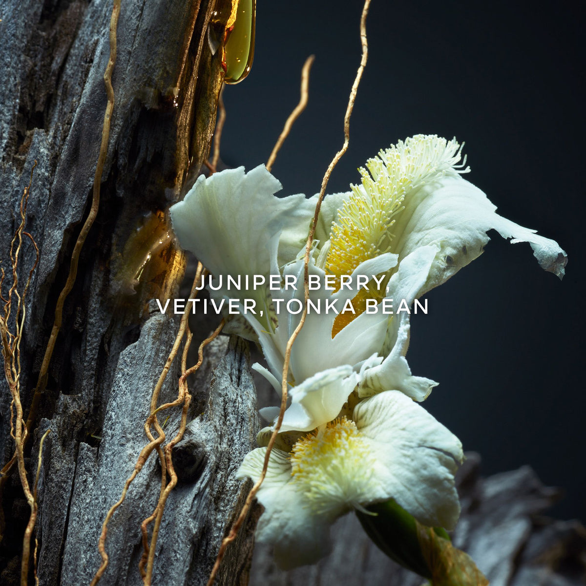 Guerlain Vetiver Eau De Toilette