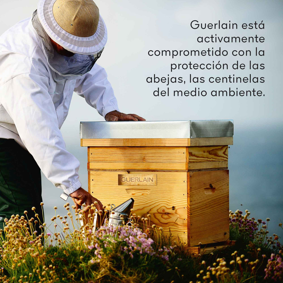Guerlain | Abeille Royale Suero Diario de Reparación