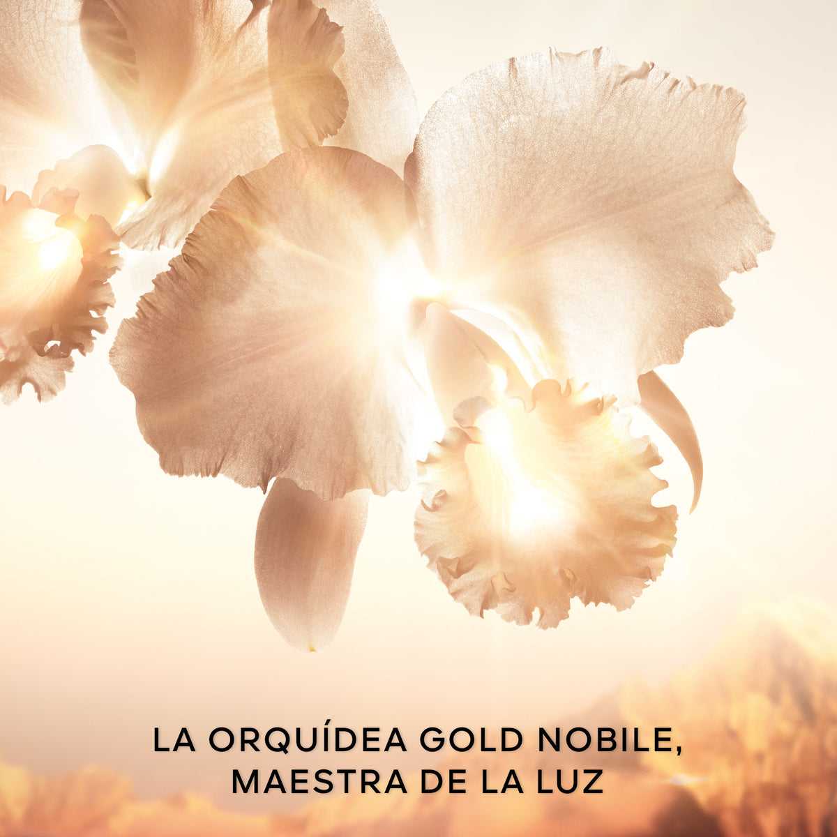 Guerlain | Orchidée Impériale Gold Nobile Serum