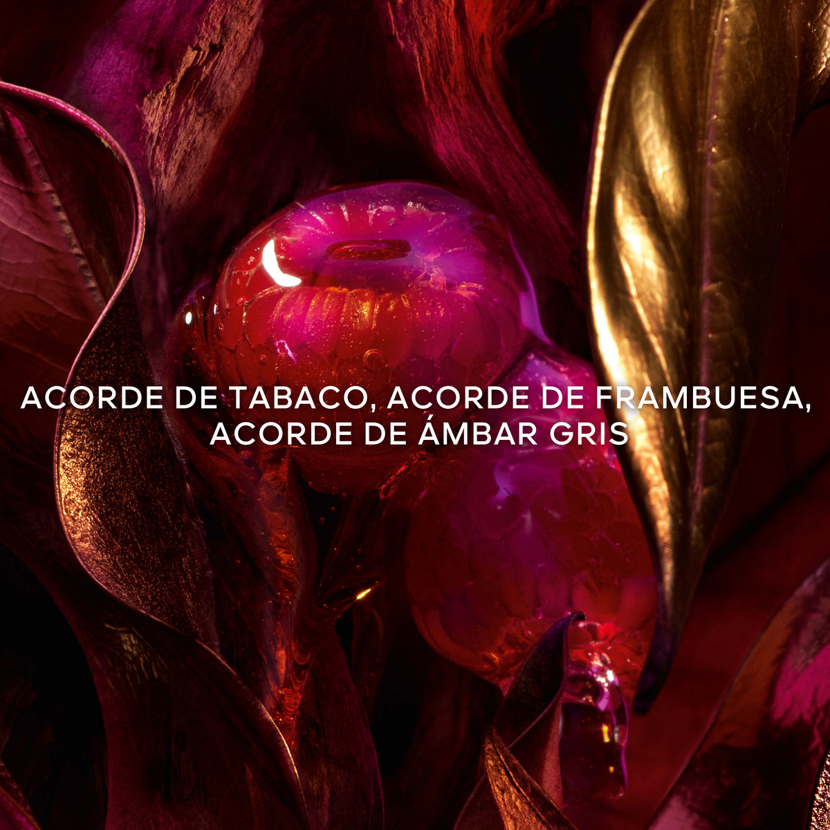 Guerlain | Absolus Allegoria Tabac Sahara Eau de Parfum