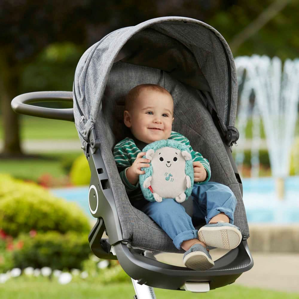 Fisher Price | Erizo Vibraciones Relajantes