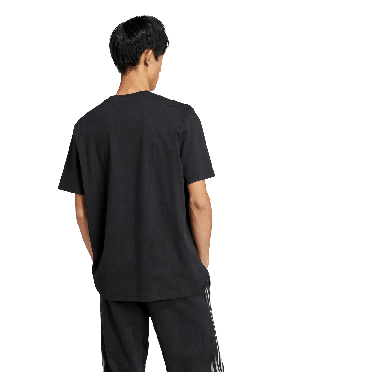 Adidas Originals | Camiseta Skeleton Trefoil