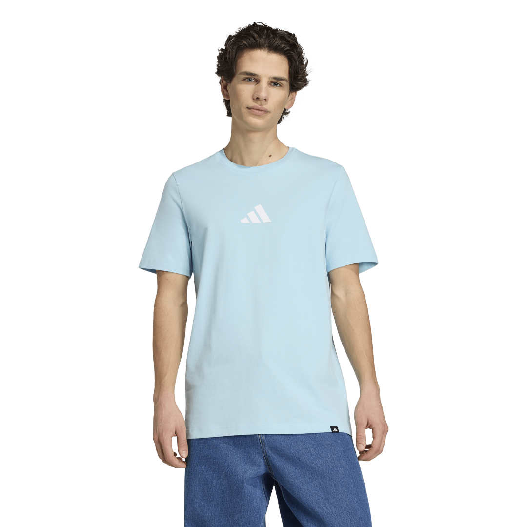 Adidas | Camiseta Graphic Tango Argentina Caballero