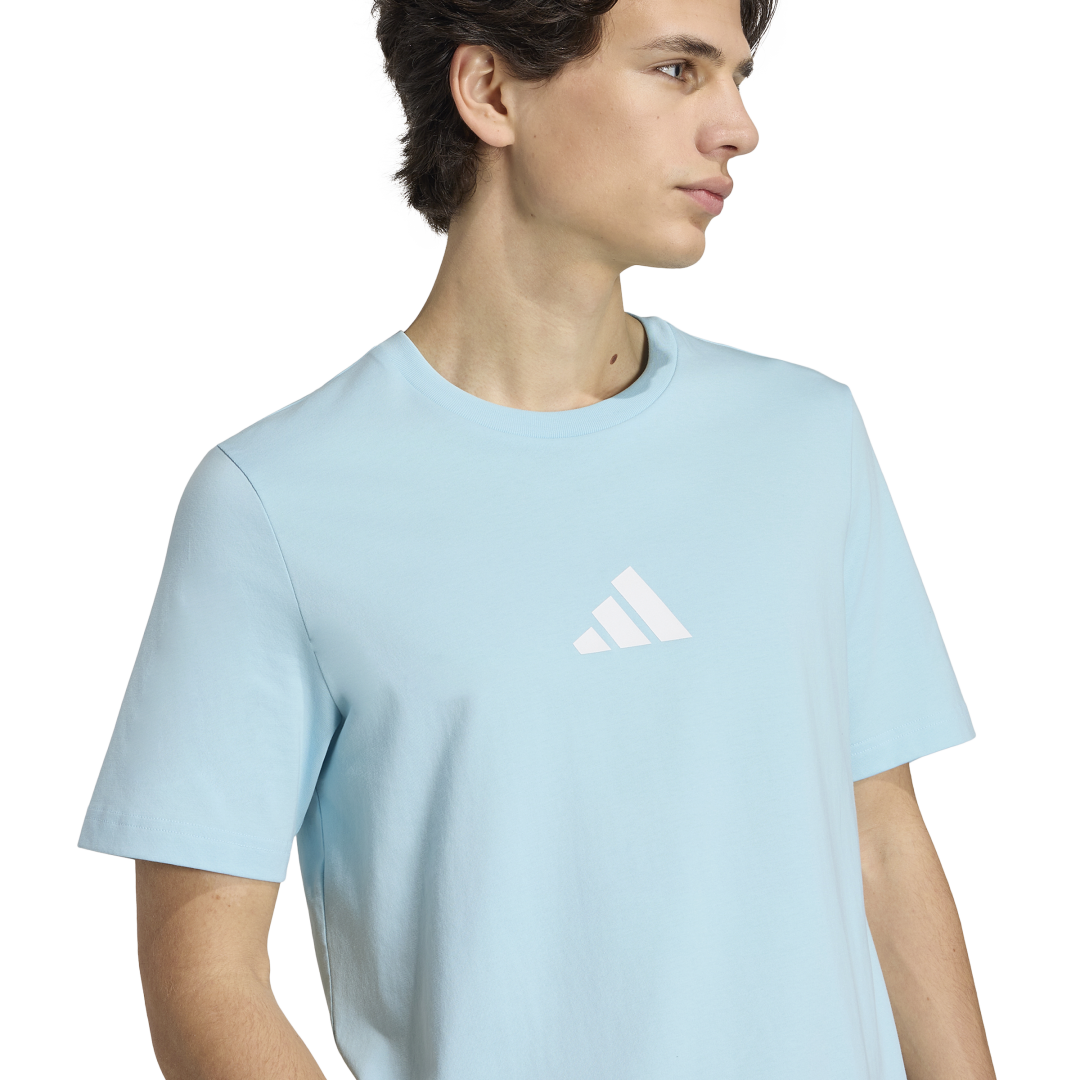 Adidas | Camiseta Graphic Tango Argentina Caballero