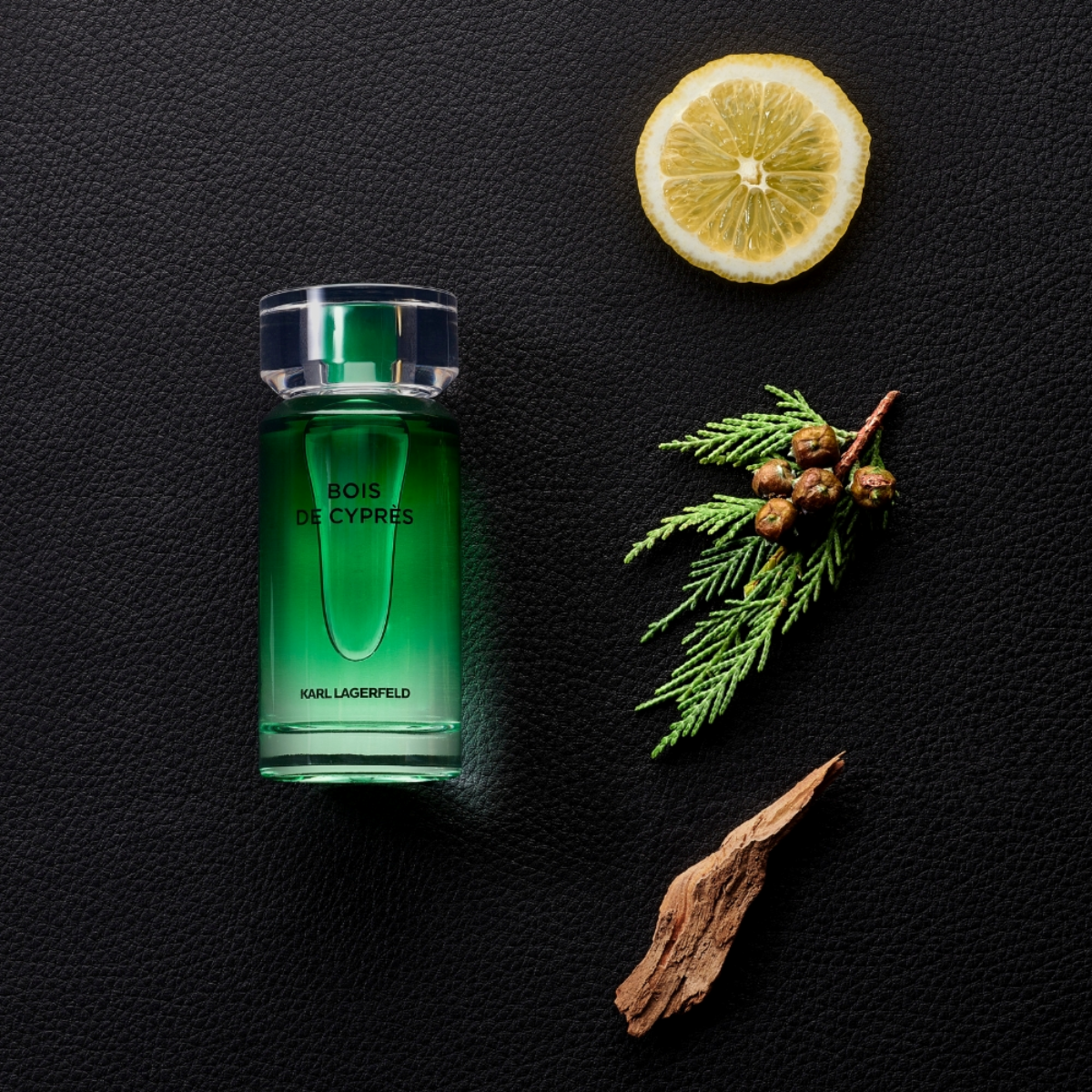 Karl Lagerfeld Bois De Cypres Eau de Toilette
