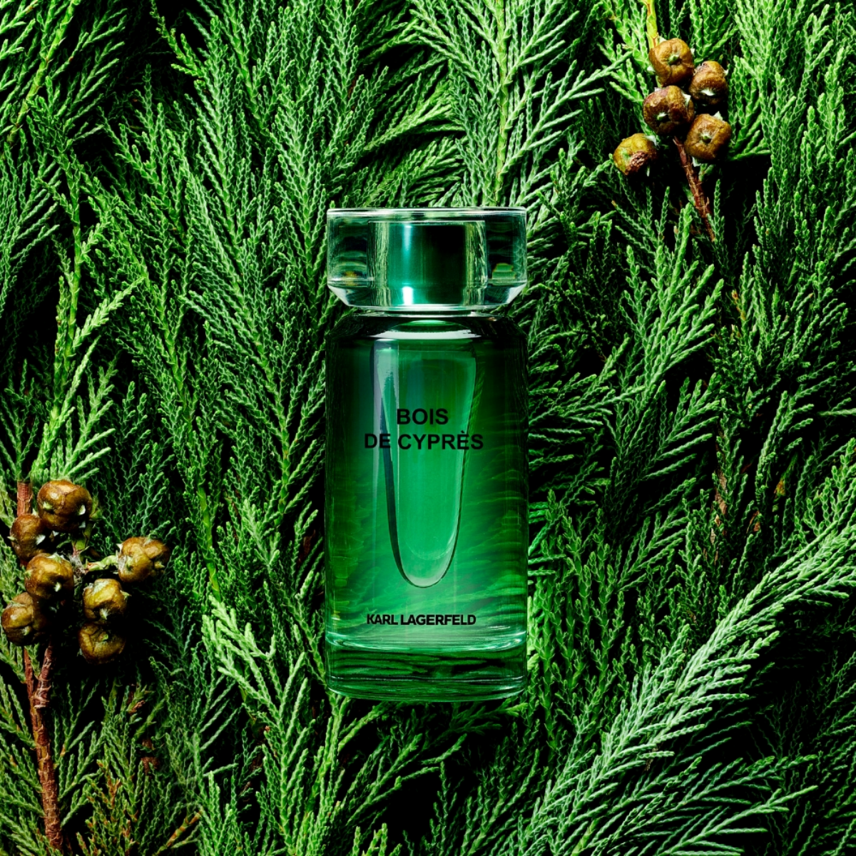 Karl Lagerfeld Bois De Cypres Eau de Toilette