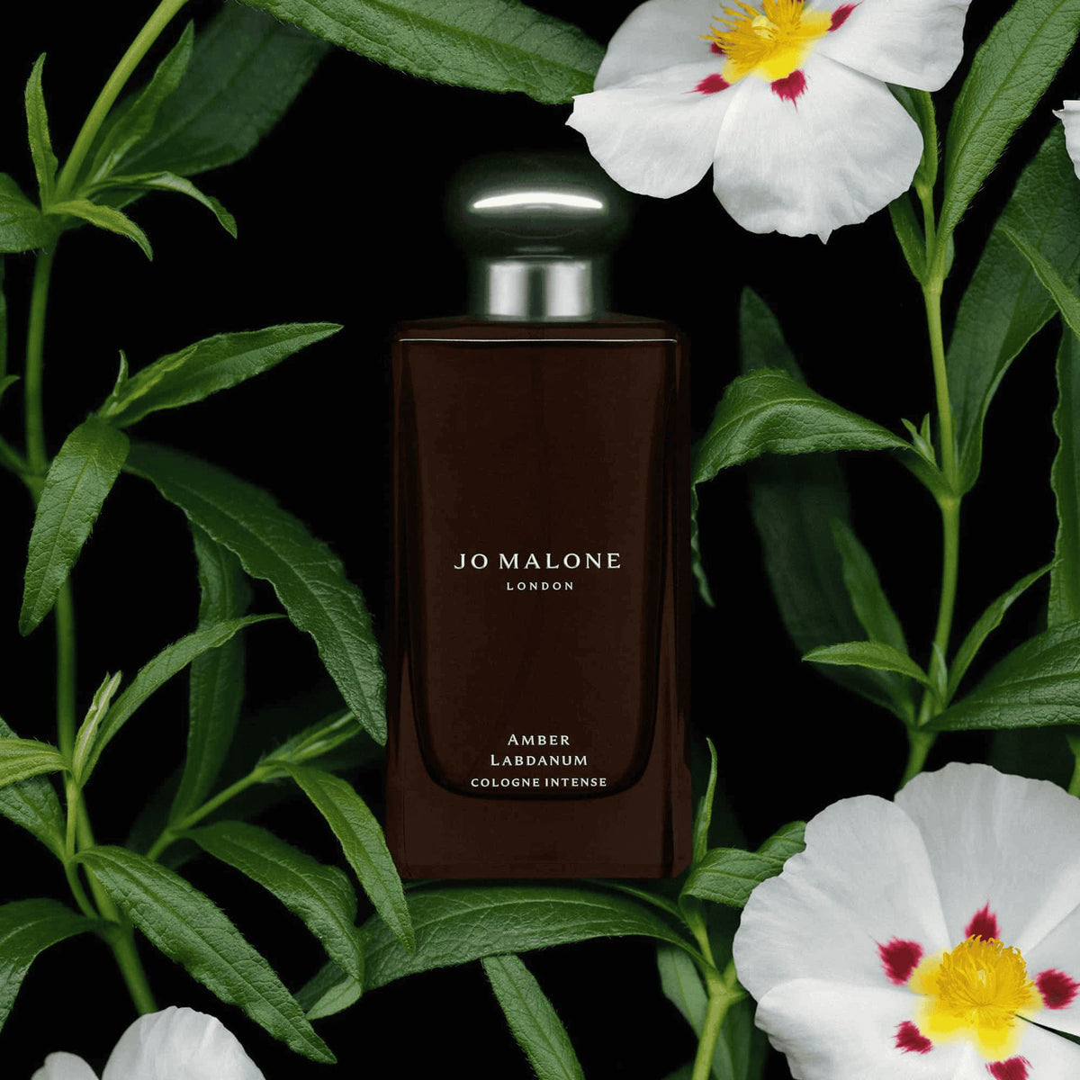 Jo Malone London | Colonia Intensa Amber Labdanum Unisex