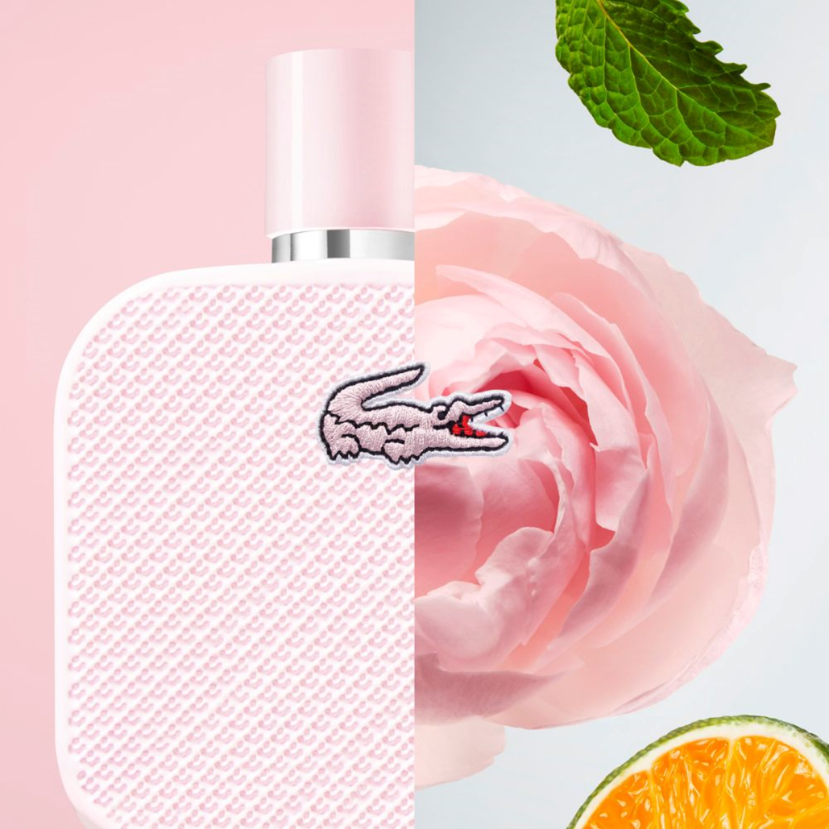 Lacoste L.12.12 Rose Eau De Parfum - Felix Online