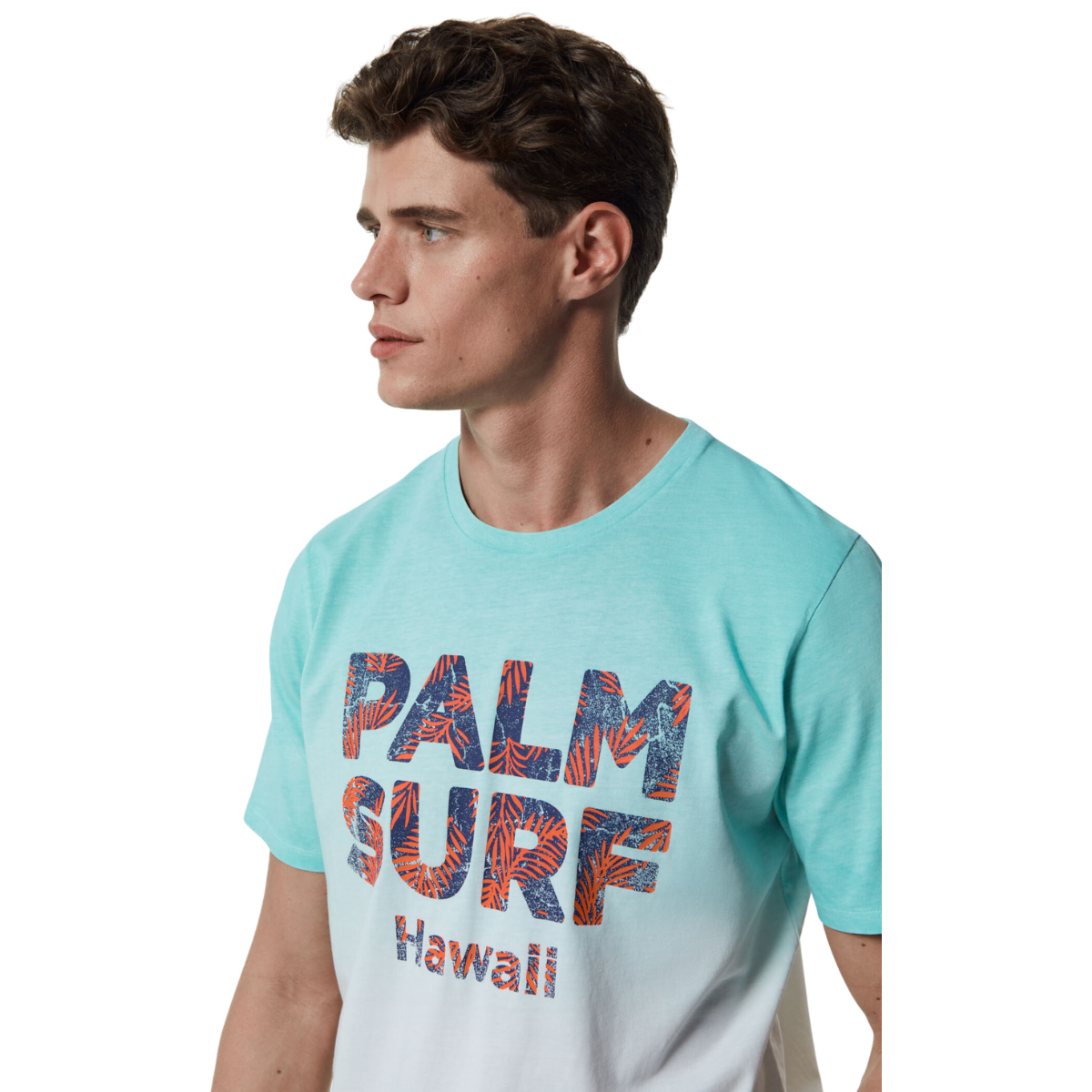 Camiseta Palm Surf