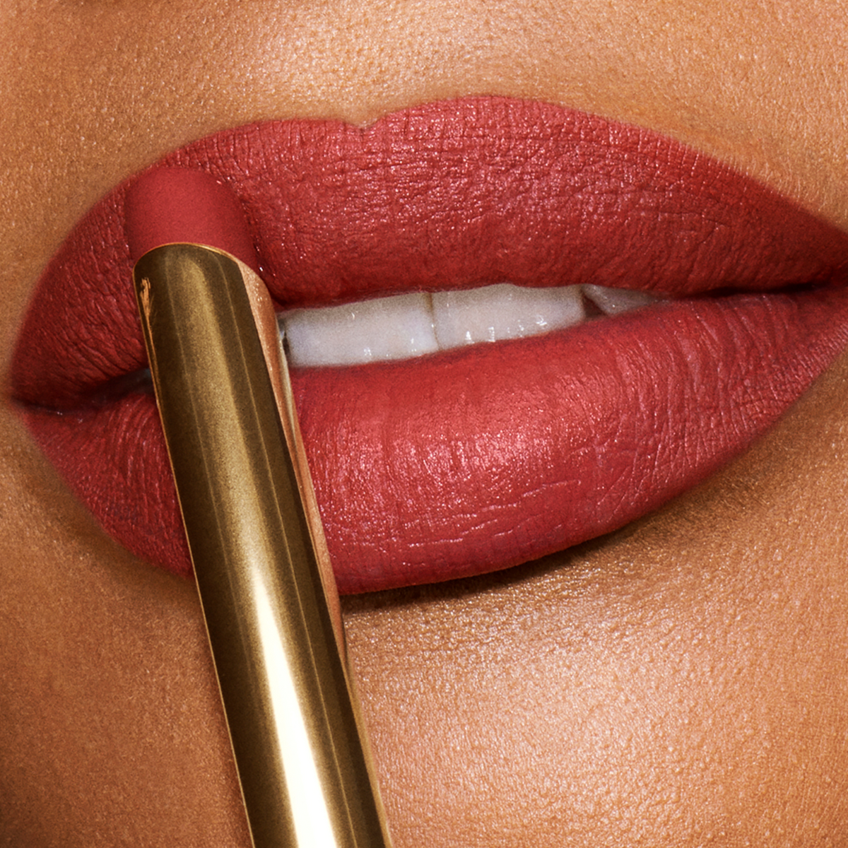 Estée Lauder Labial Pure Color Explicit Mate Sedoso