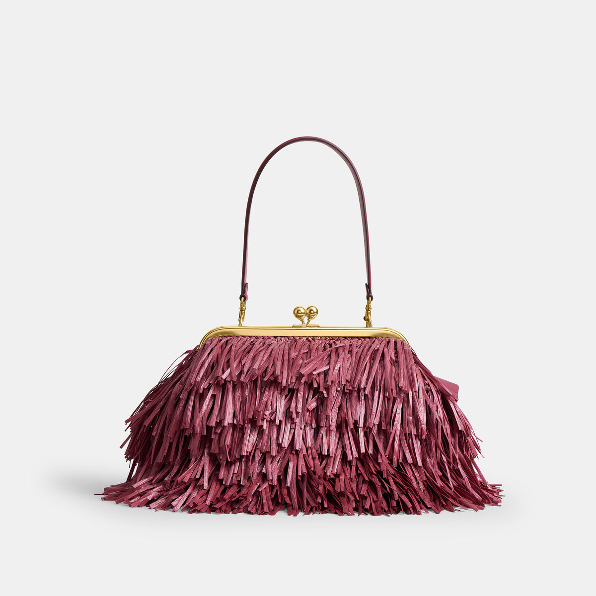 Coach  |  Bolsa para cuadro Kisslock 27