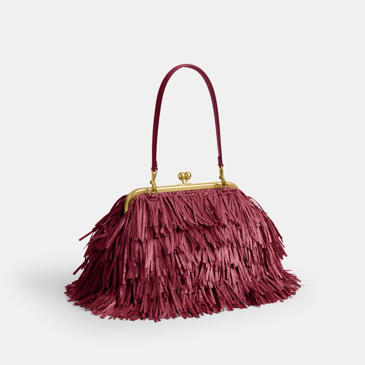 Coach  |  Bolsa para cuadro Kisslock 27