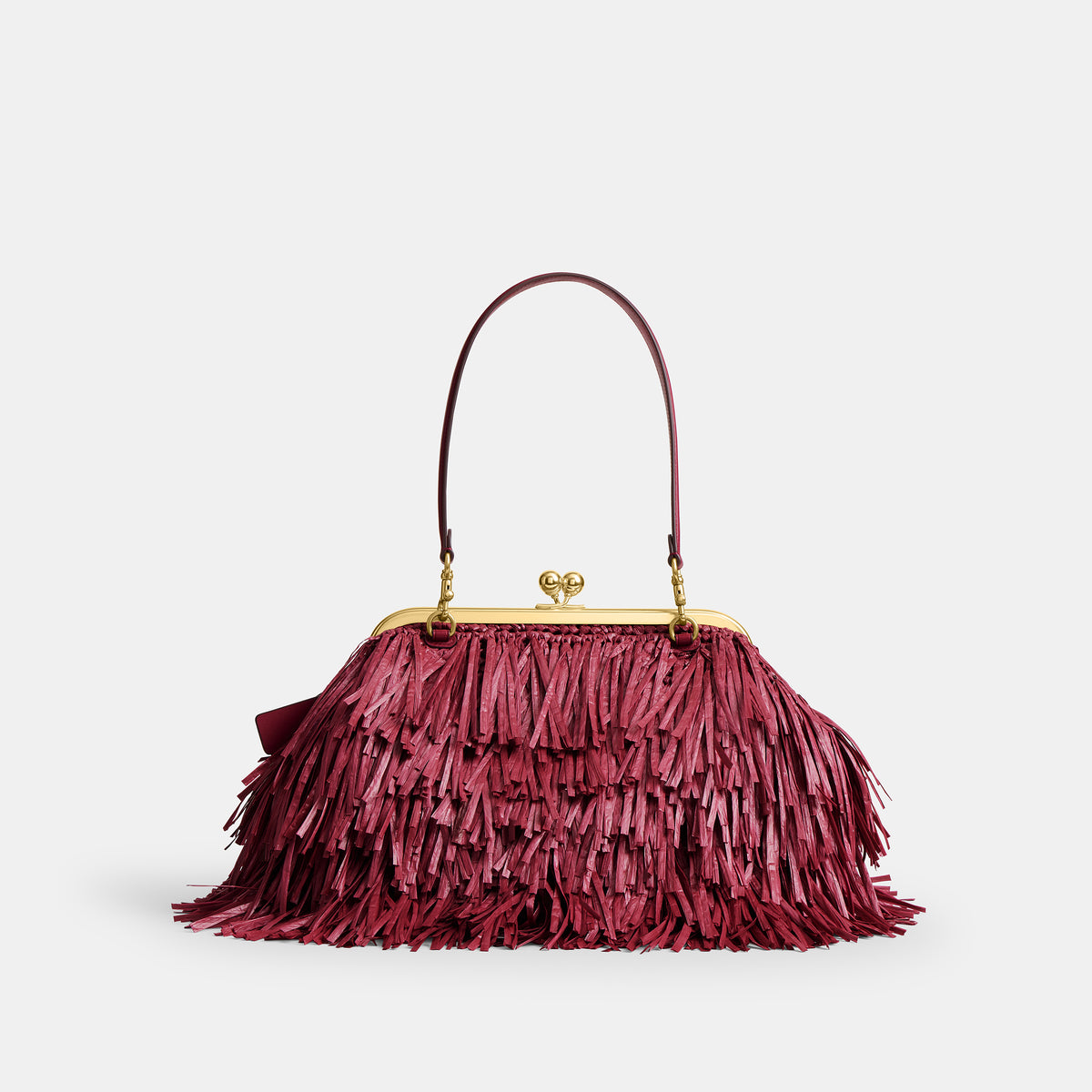 Coach  |  Bolsa para cuadro Kisslock 27