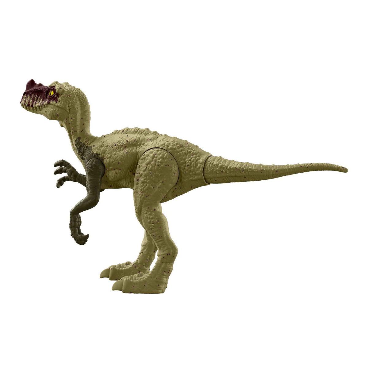 Dinosaurio Proceratosaurus 12&quot;