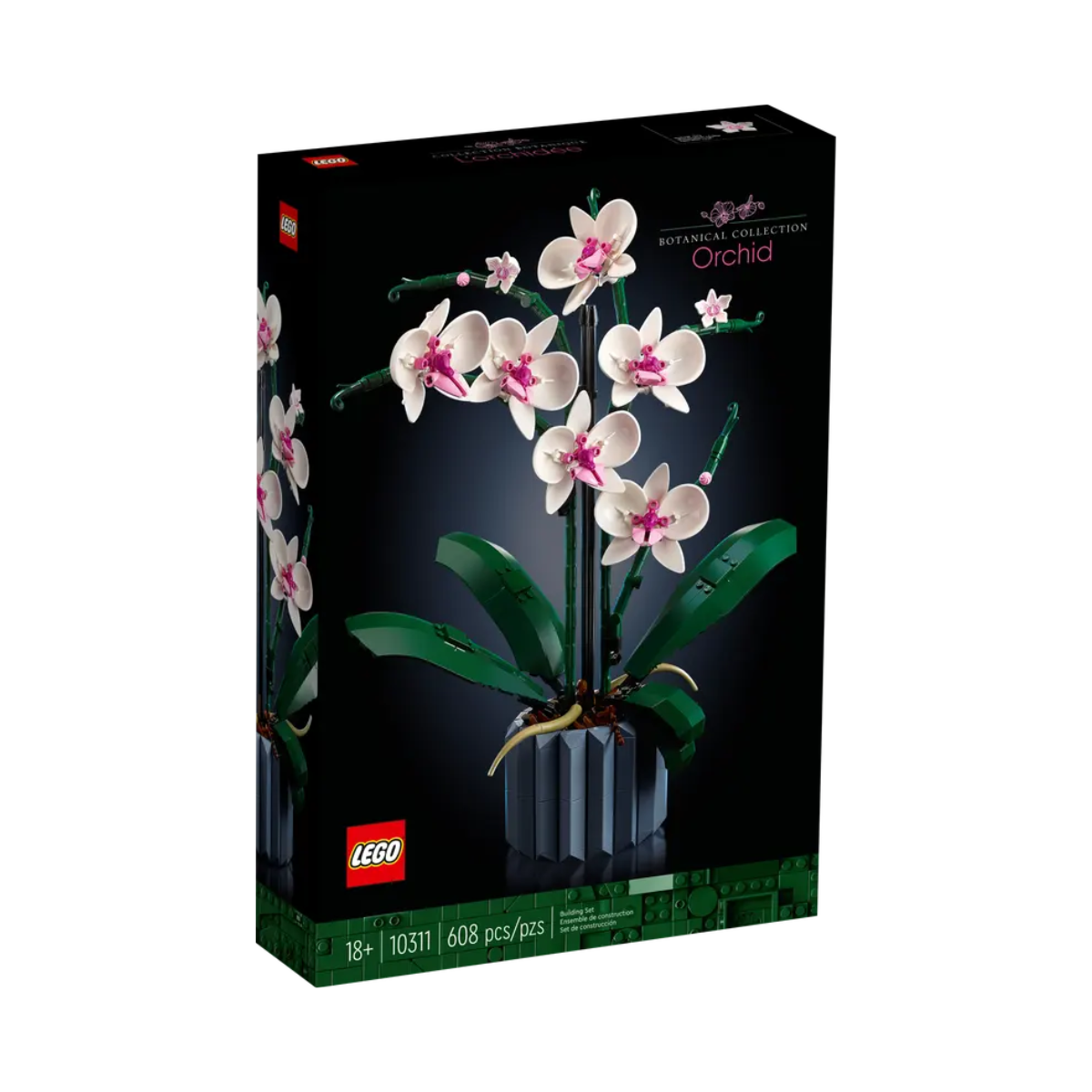 Orquídeas - Felix Online