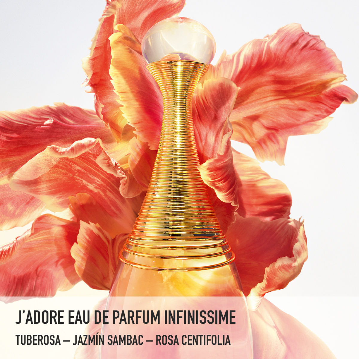 DIOR J&#39;adore Eau De Parfum Infinissime