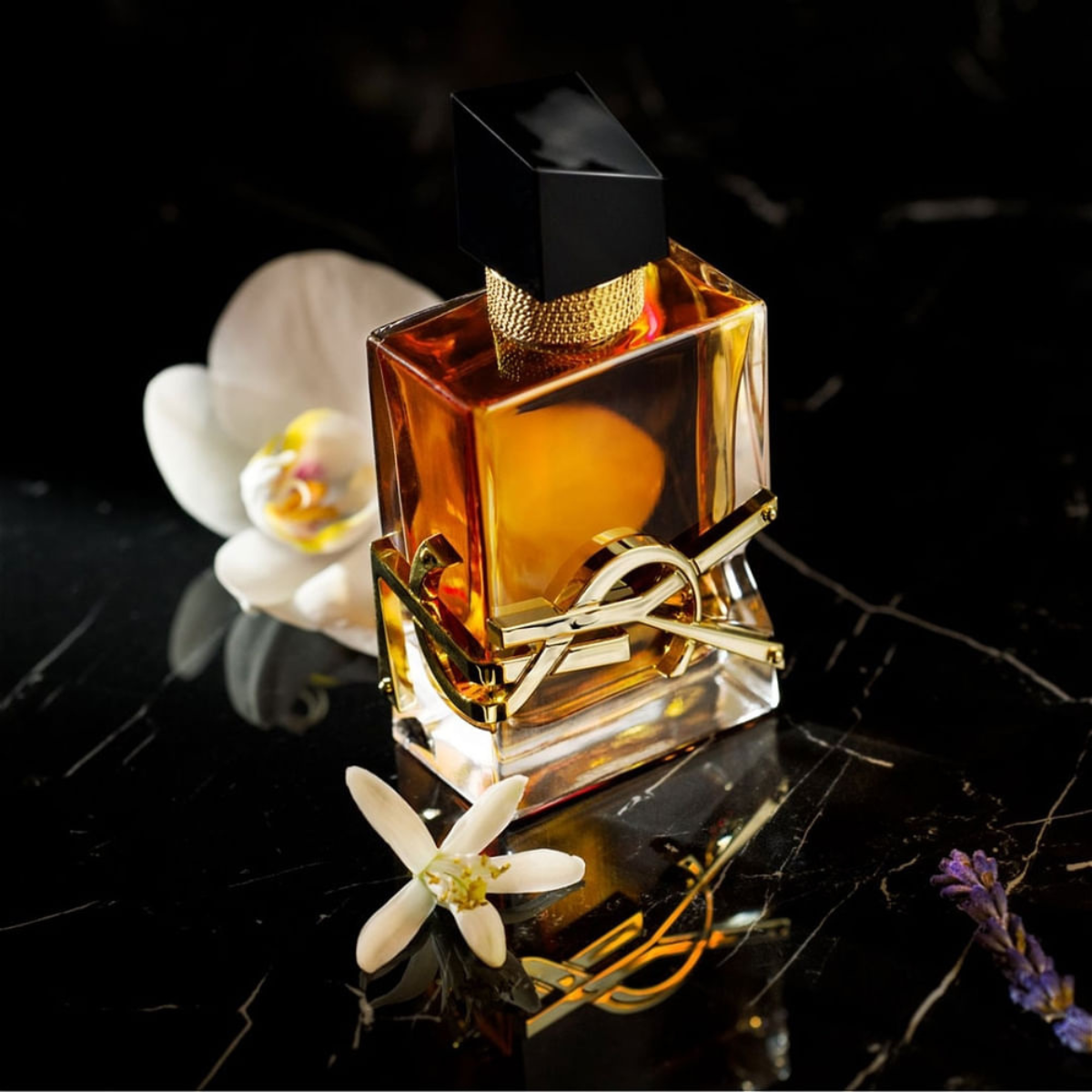 Yves Saint Laurent Libre Eau de Parfum Intense - Felix Online Yves Saint Laurent Libre Eau de Parfum Intense - Felix Online