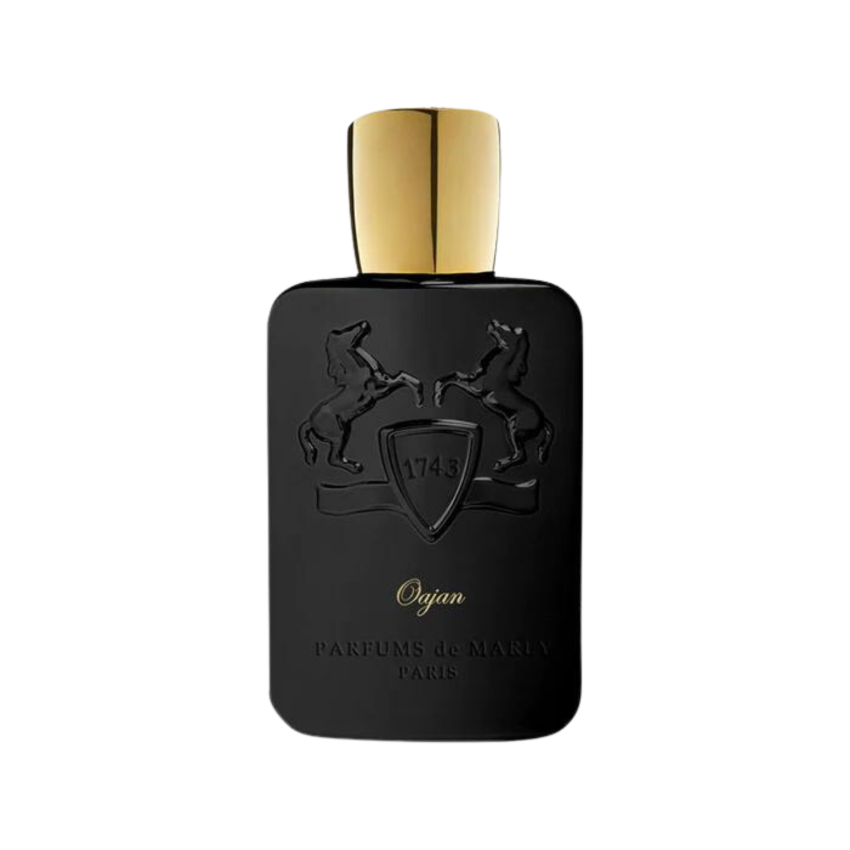 香水(男性用) Parfums de Marly Oajan 125ml Parfums De Marly Oajan Eau de Parfum - Felix Online