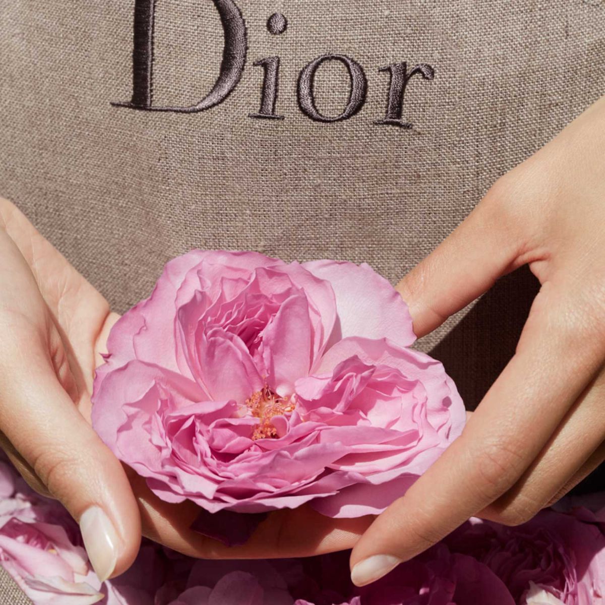DIOR Miss Dior Rose N&#39; Roses Eau De Toilette