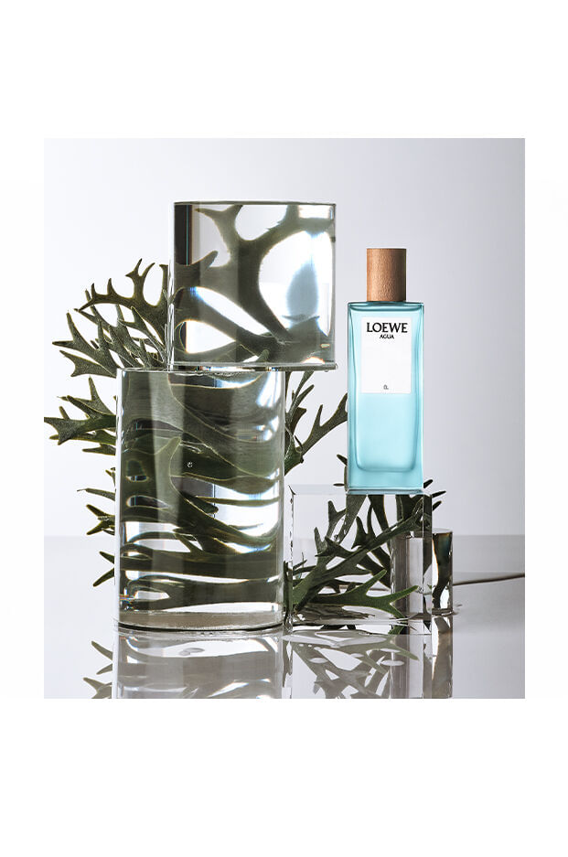 Loewe Agua El Eau De Toilette