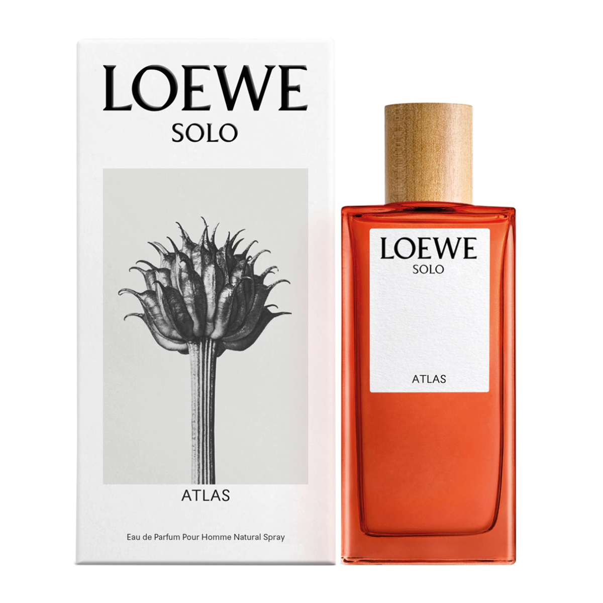 Loewe Solo Atlas Eau De Parfum